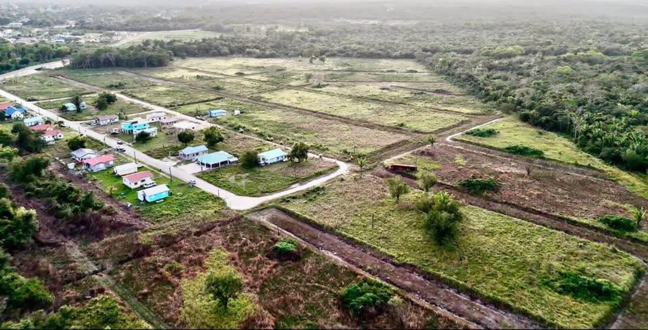 Belize land and homes
